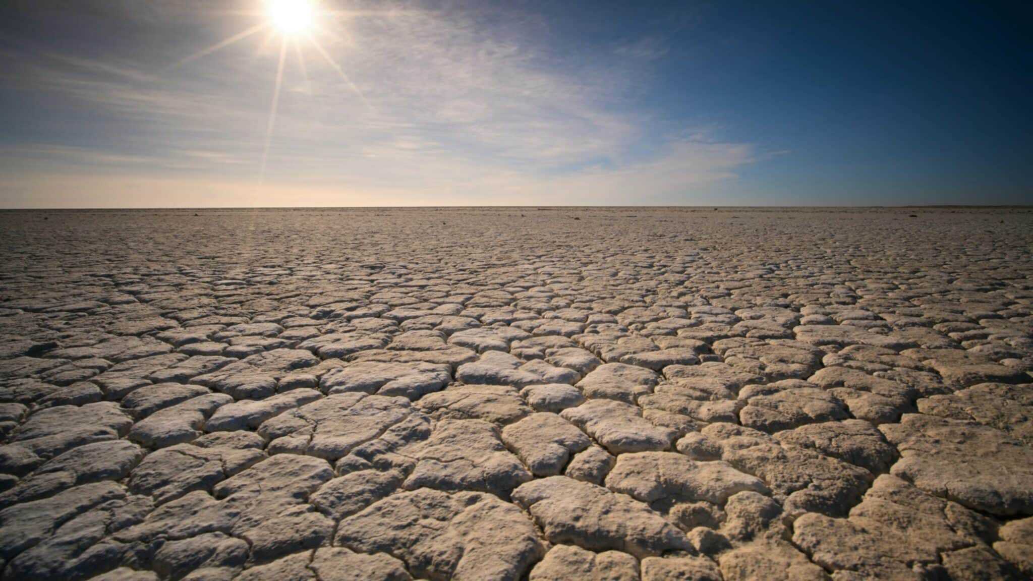 エルニーニョ現象が発生今年の冬は暖冬か TEXAL