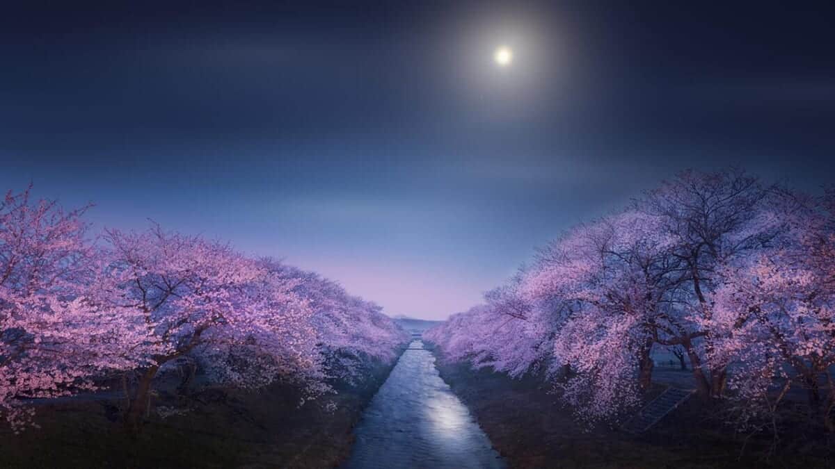 Riverside of Funakawa in spring by Takanobu Kurosaki Astronomy Photographer of the Year 2022 People Space