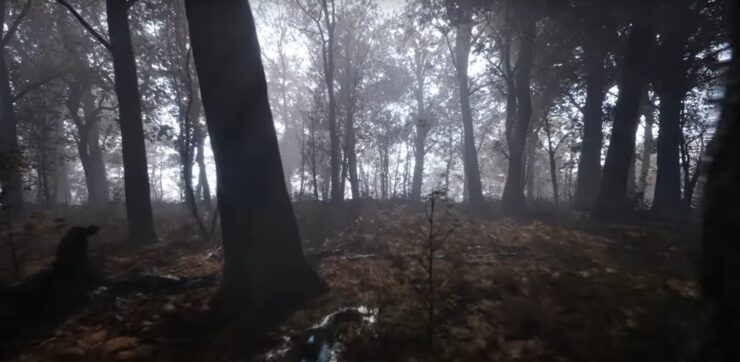 Unreal Engine 5の新技術「Nanite」と「Lumen」が活用された技術デモ「Broadleaf Forest」が公開