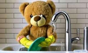 imagen teddy bear 1 980x588 1
