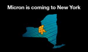 newyork bannerpicture1 520x310 1