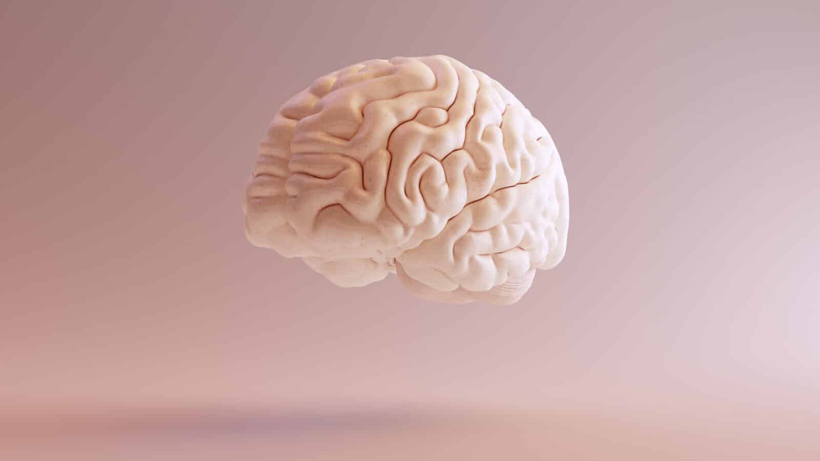 アルツハイマー病が脳の広範囲に影響を与える事が初めて確認された