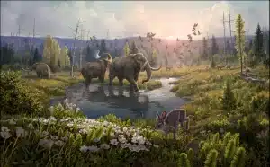 mastafn1 full 1906x1179 1