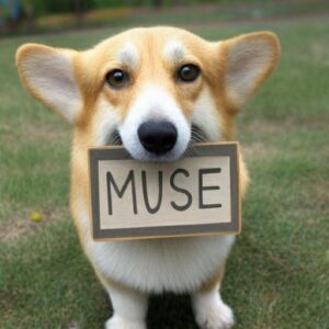 muse corgi