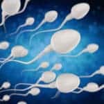 sperma image