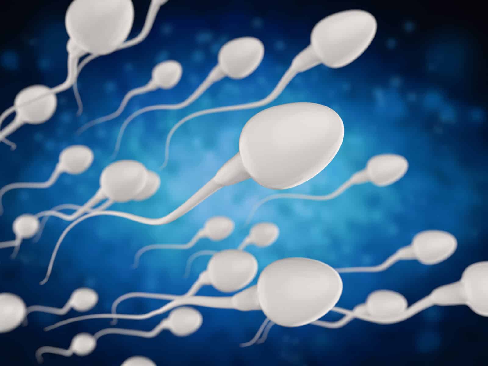 精子の機能を1日“オフ”に出来る男性用避妊薬がマウスで有望な結果を示す