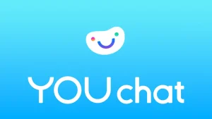 youchat 2 youcom