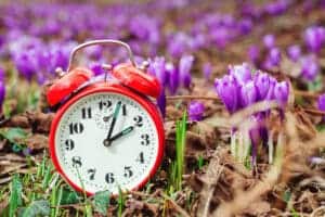 spring clock