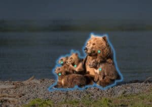 FireShot Capture 050 Segment Anything Meta AI segment anything.com