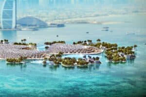 Dubai Reefs 9