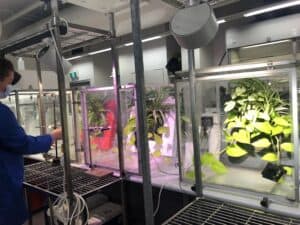 UTS Lab testing chambers