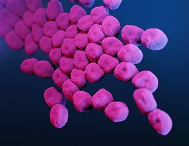AIが致死性の高い薬剤耐性菌に有効な新たな抗生物質を発見