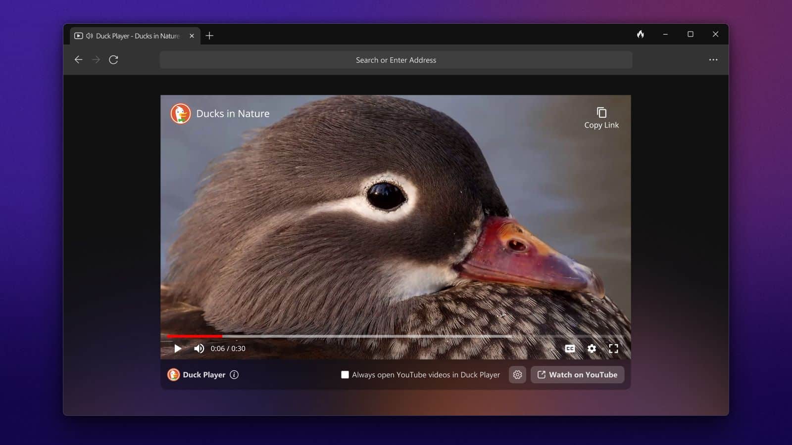 DuckDuckGo、Windows版プライバシー保護ブラウザのベータ版をリリース