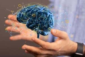 human brain digital