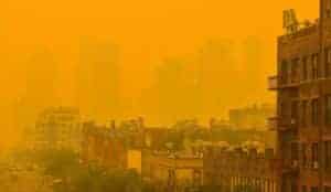 new york smog