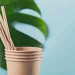 paper straw and cup
