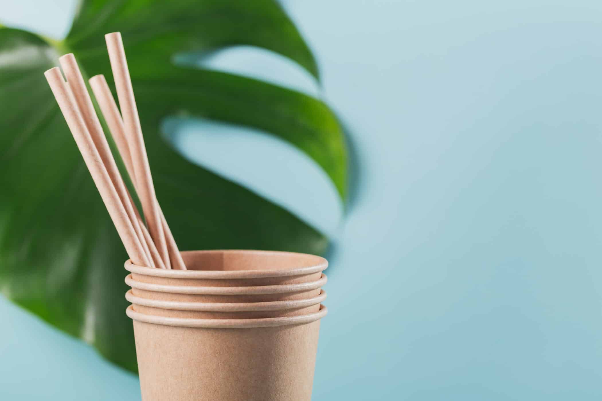 paper straw and cup