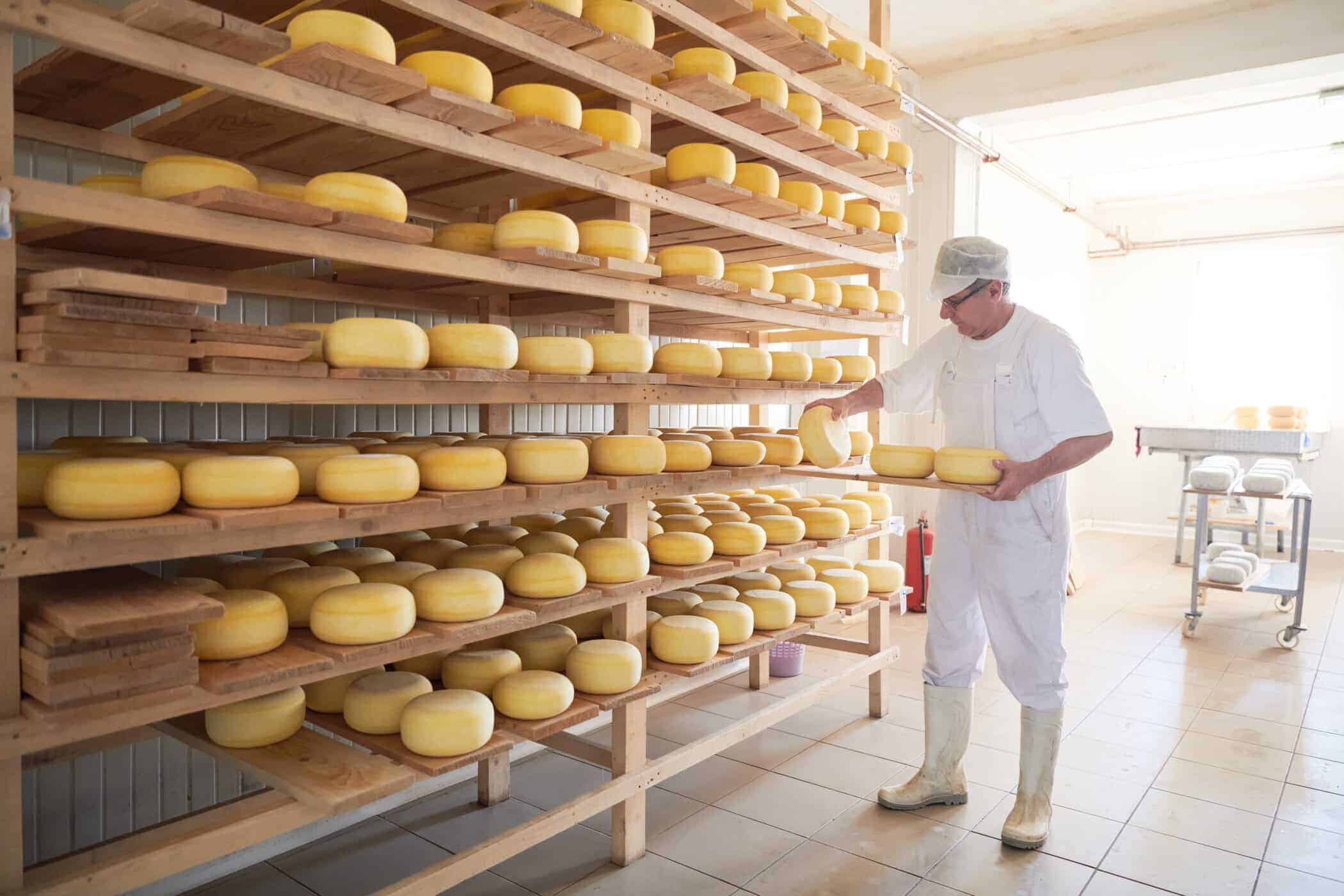 偽造に対抗するため、イタリア人はマイクロチップをチーズに埋め込む