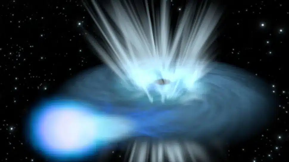 blackhole destroy star