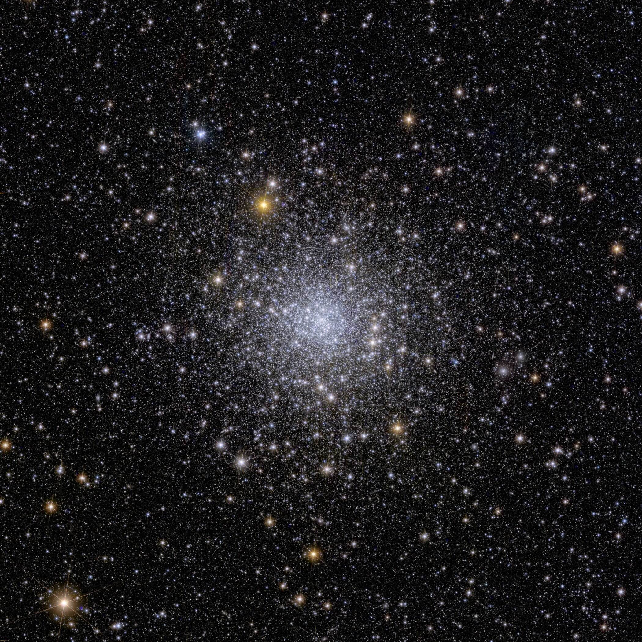 Euclid s view of globular cluster NGC 6397