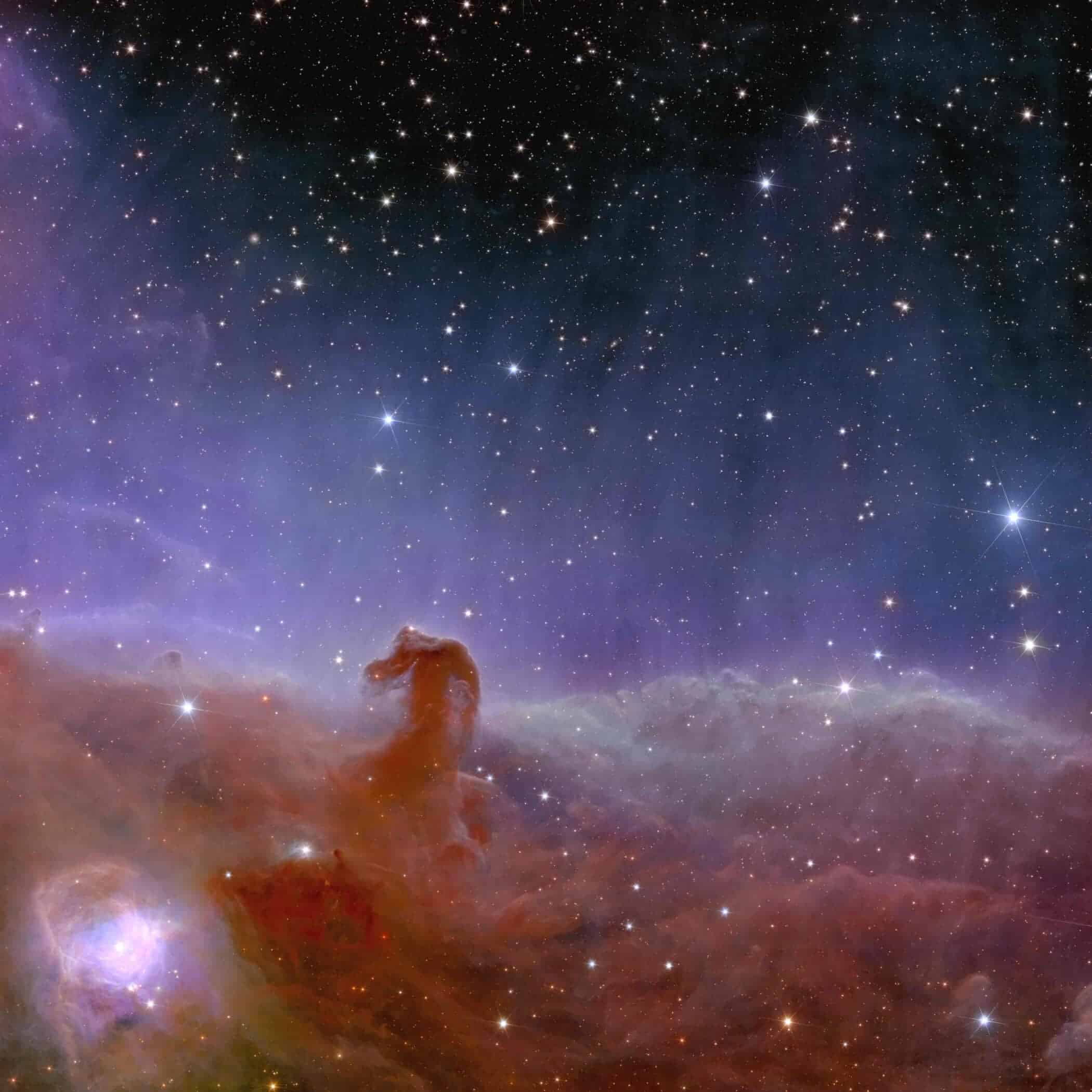 Euclid s view of the Horsehead Nebula