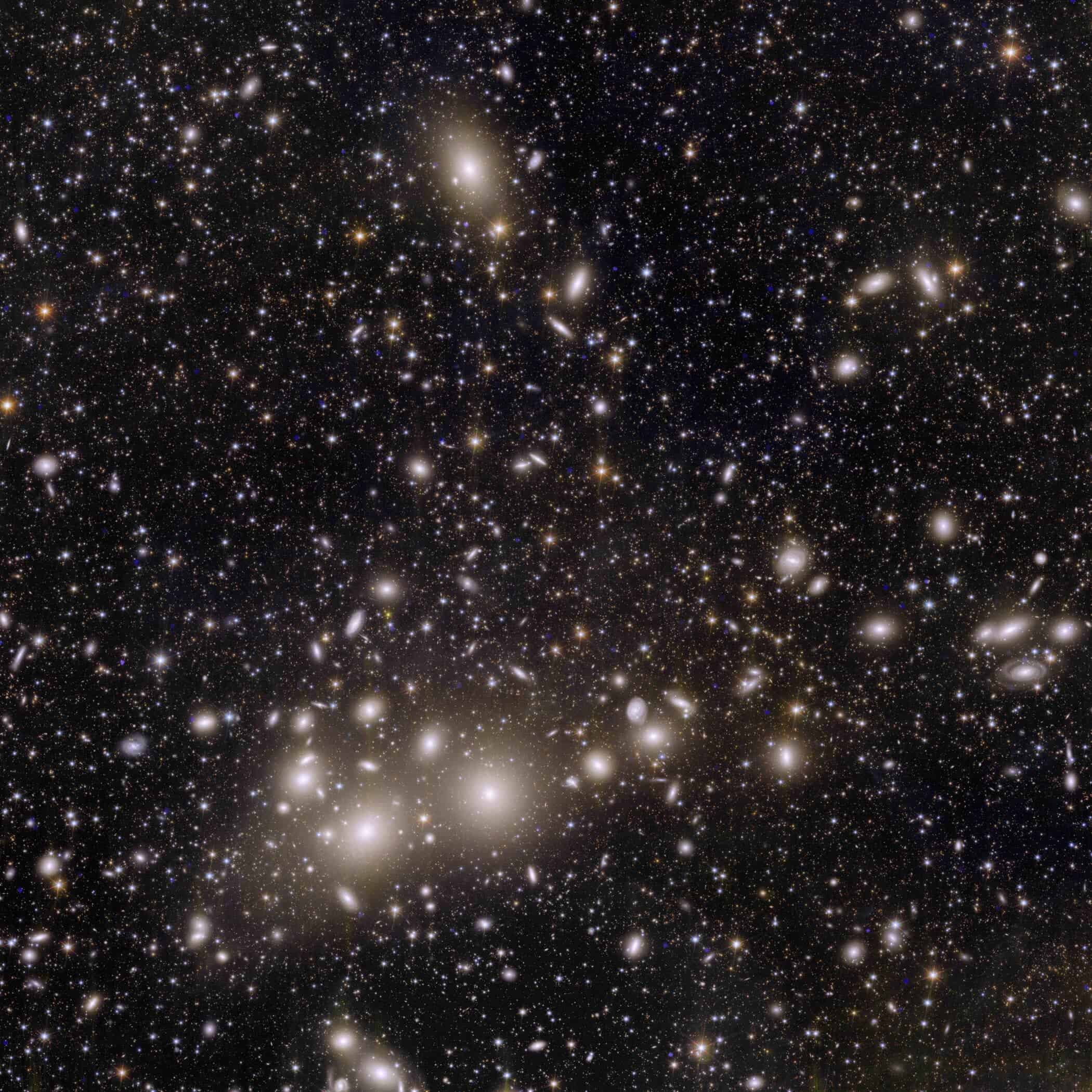 Euclid s view of the Perseus cluster of galaxies