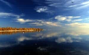 Salton Sea Reflection