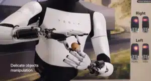 tesla optimus gen 2 delicate object manipulation