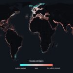 GFW fishing vessel activity global map